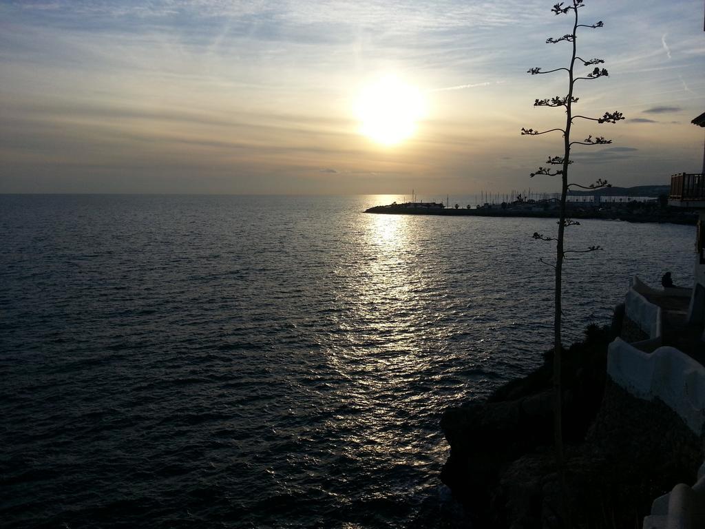 Tot Gaviota * Sitges